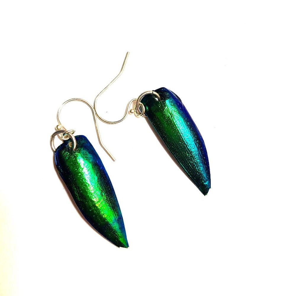 EMERALD BEETLE WING EARRINGS -  IRIDESCENT - STERLING SILVER WIRES